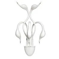 Бра Lightstar Cigno Collo Wt 751656 